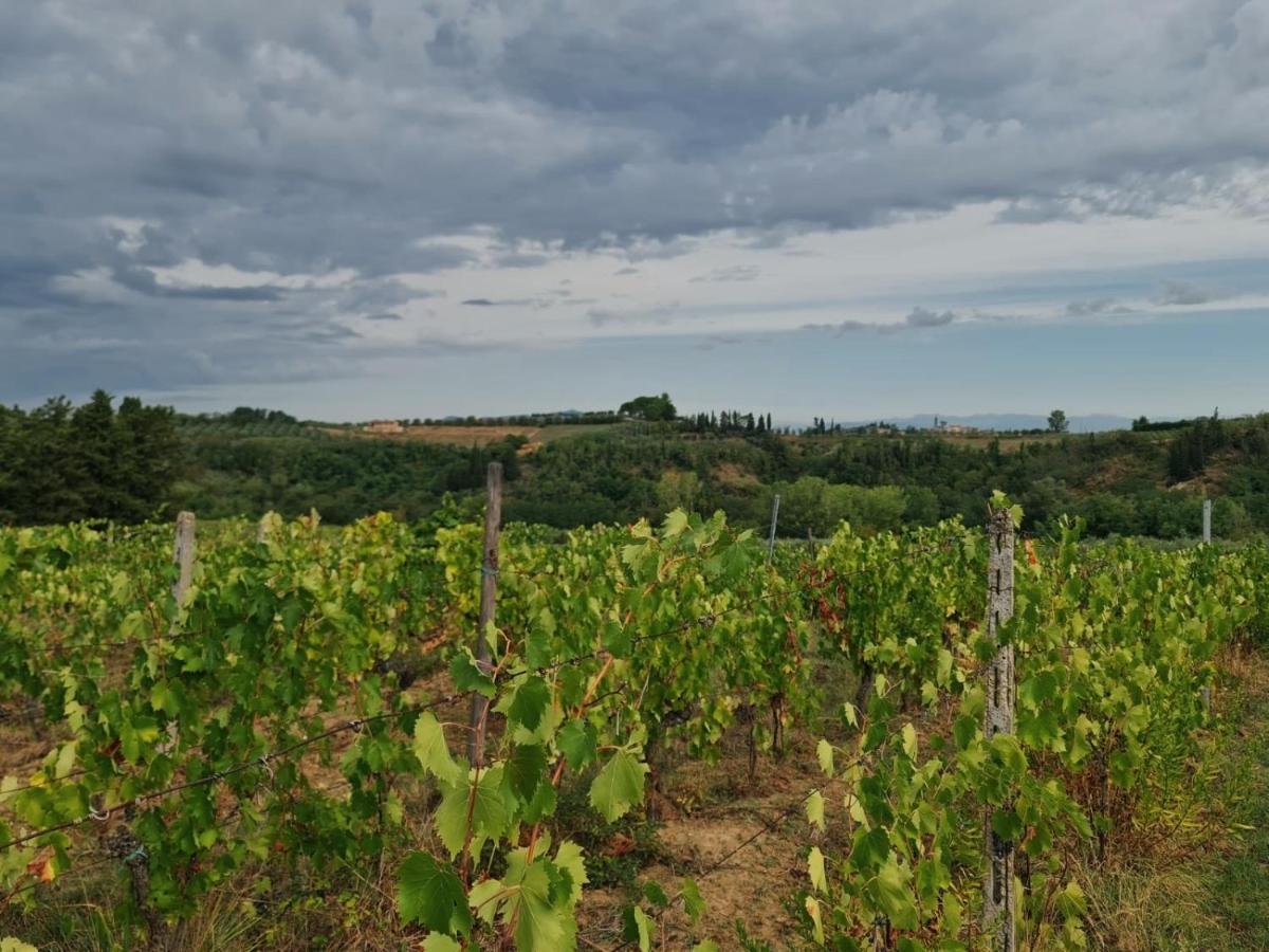 Podere Borgaruccio Peccioli Экстерьер фото