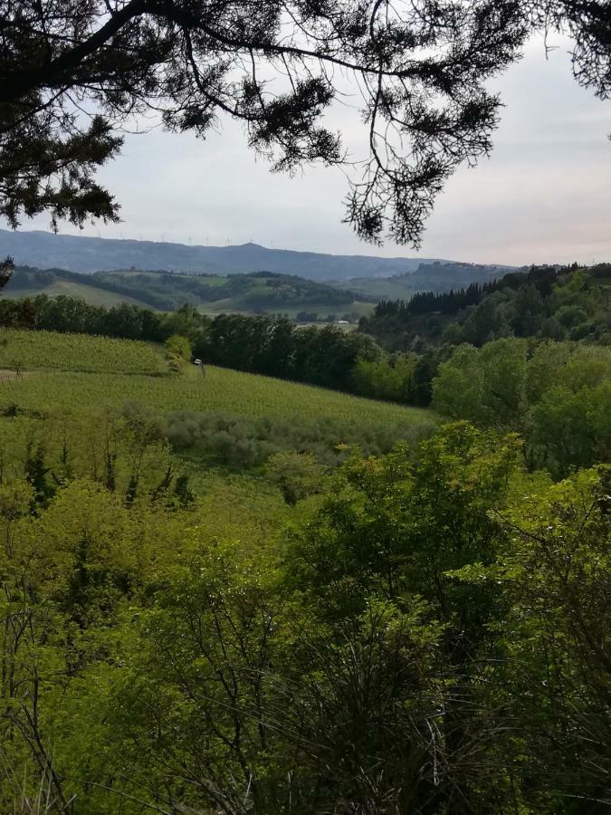 Podere Borgaruccio Peccioli Экстерьер фото